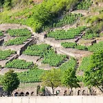 Ξενοδοχείο Zum Moselstrand 3*