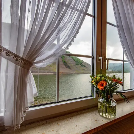 Winzerhotel Und Restaurant Zum Moselstrand Hotel Briedern