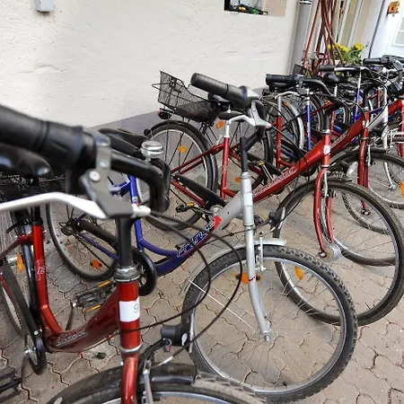 Hotel Zum Moselstrand Briedern