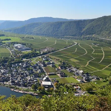 Zum Moselstrand Отель 3*