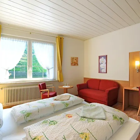 Zum Moselstrand 3* Briedern
