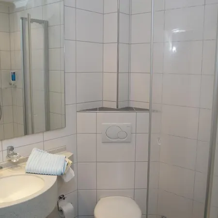 Otel Zum Moselstrand Briedern