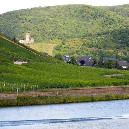 Hotel Zum Moselstrand 3*