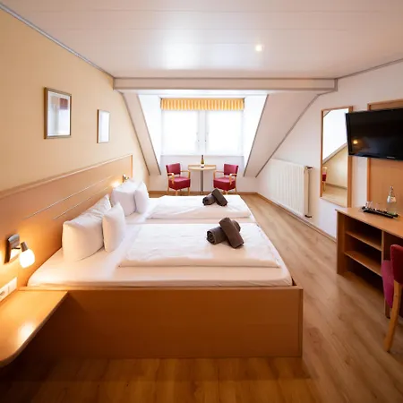 Hotel Zum Moselstrand Briedern
