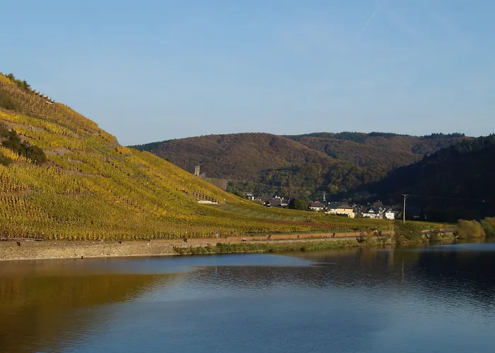 Hotel Zum Moselstrand Briedern