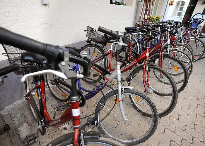 Hotel Zum Moselstrand Briedern