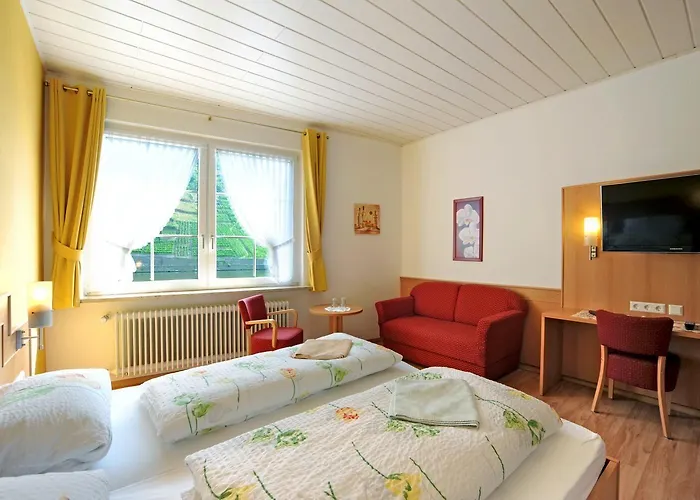 Zum Moselstrand 3* Briedern