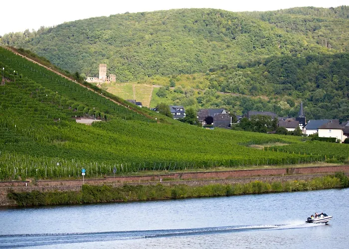 Hotell Zum Moselstrand 3*